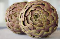 Carciofi alla giudia int