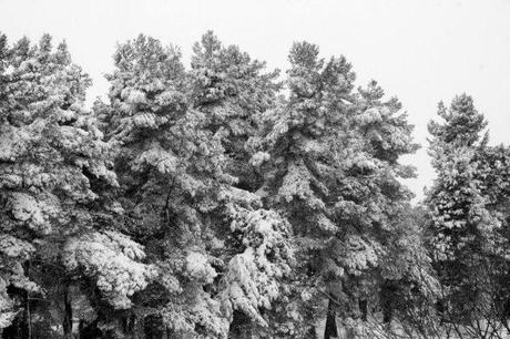 Abruzzo, dicembre 2014