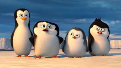 FILM - I pinguini