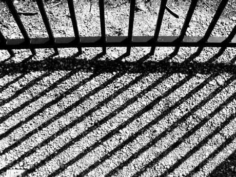 Veronica Panarello rimane in carcere, lo ha deciso il Tribunale del Riesame Immagine: Pixabay