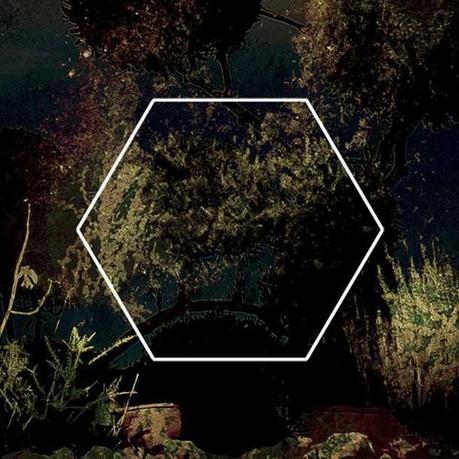 MONOLOGUE, The Sea From The Trees Monologue