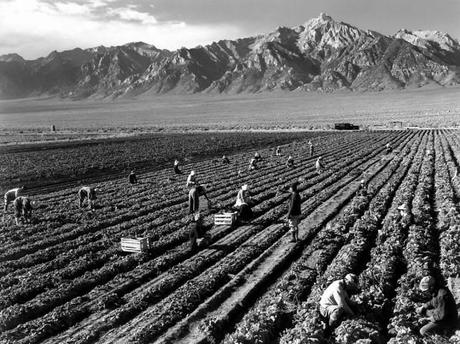 Ansel Adams   Farm workers and Mt. Williamson 643x482