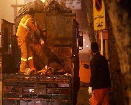 Iran: i Mullah ordinano la strage dei cani foto 11