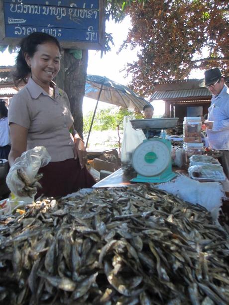 l'atto di fede della diga di son sahong