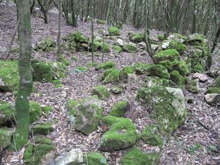 Archeologia sperimentale. Ferro utilizzato nell'età del Bronzo? Possibile.