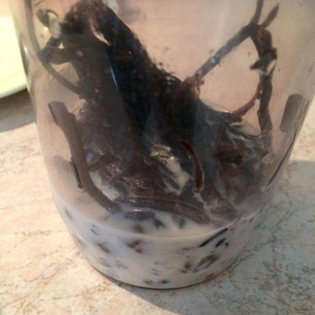 Bagna Cauda Vegan con Peperoni ricettevegan.org - bagna cauda vegan