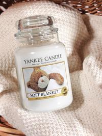 Soft Blanket™ Yankee Candle® Tarts® Wax Potpourri