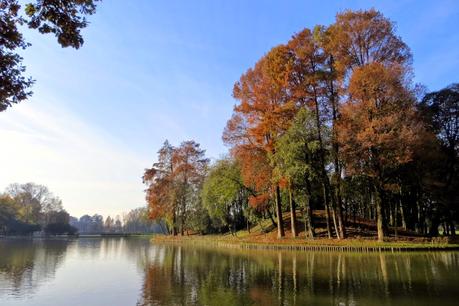 villa contarini piazzola sul brenta