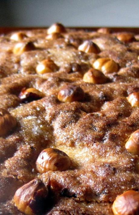 Torta rustica di nocciole e uvetta - Rustic hazelnuts and raisin cake