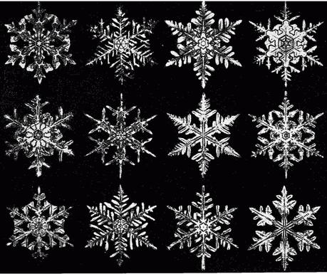 The Snowflake Man - Wilson Bentley e la magia dei fiocchi di neve.