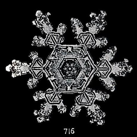 The Snowflake Man - Wilson Bentley e la magia dei fiocchi di neve.