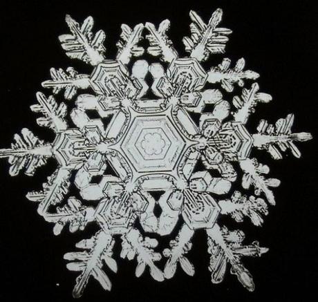 The Snowflake Man - Wilson Bentley e la magia dei fiocchi di neve.