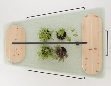 Kitchen Sharing Kitchen Sharing