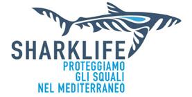 SharkLife: pescatori sportivi per la salvaguardia degli squali nel Mediterraneo