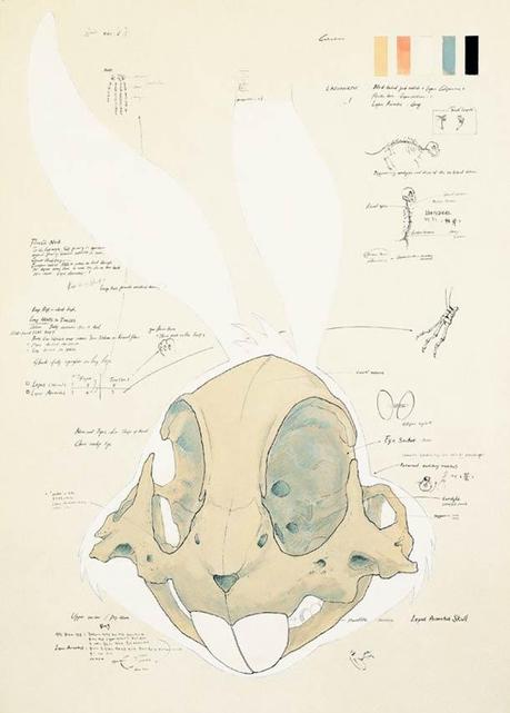 Animatus-Hyungkoo-Lee-4