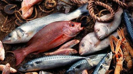 Quanto pesce si può pescare senza rischiare l'estinzione delle specie?