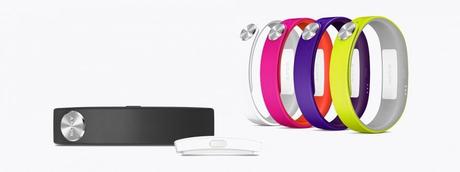 SmartBand SWR10 SmartBand 6