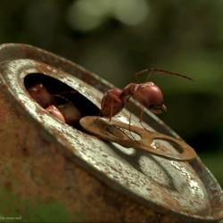 Minuscule, la valle segreta delle formiche: video backstage e immagini minuscule---la-valle-delle-formiche-perdute_Cinema-9849