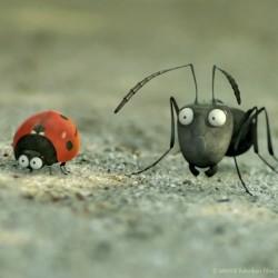 Minuscule, la valle segreta delle formiche: video backstage e immagini minuscule---la-valle-delle-formiche-perdute_Cinema-2205