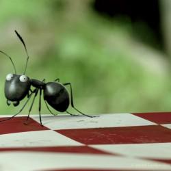 Minuscule, la valle segreta delle formiche: video backstage e immagini minuscule---la-valle-delle-formiche-perdute_Cinema-7978