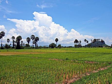 Cambogia viaggiare da sola