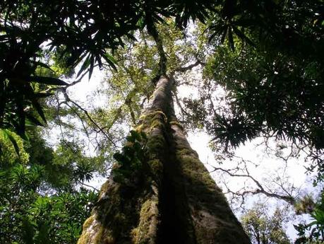 Riserva della Biosfera Sheka