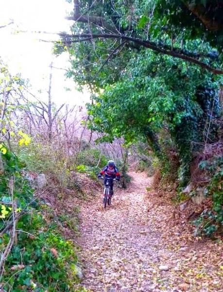 Mountain bike along forgotten tracks (23/1, 2015)