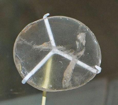 Archeologia. La lente di Nimrud: parte di un telescopio antico o sfera di cristallo per vedere il futuro?