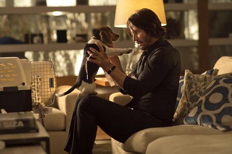 John Wick ( 2014 )