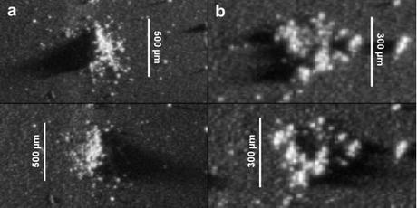 Il bottino di COSIMA: vecchia polvere soffice ricca di sodio