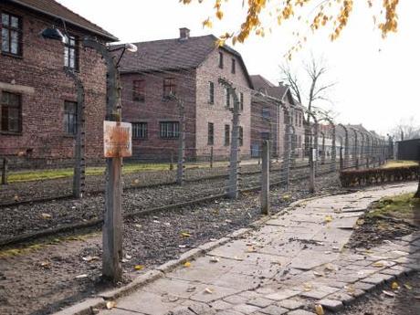 Polonia Auschwitz