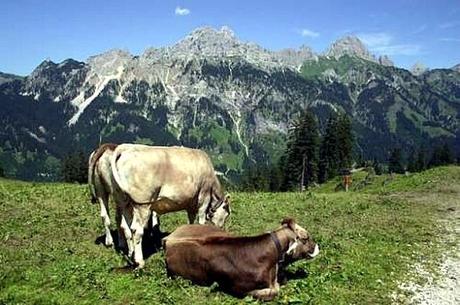 Granarolo manda in pensione la lola