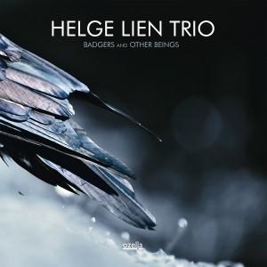 La calma composta e incantatrice del Helge Lien Trio: Badgers and other beings