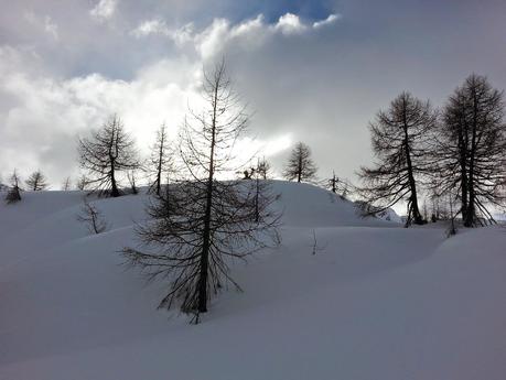 Il Pizzetto