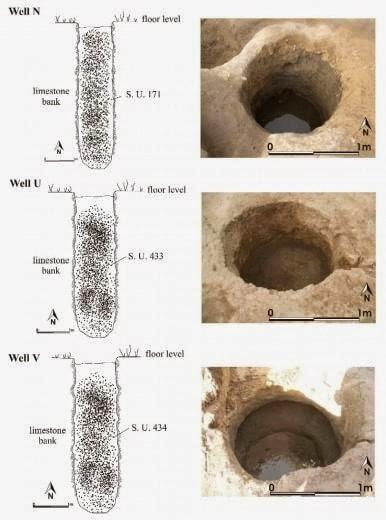 Archeologia. Vino, scoperto in Sardegna il vitigno più antico del Mediterraneo occidentale