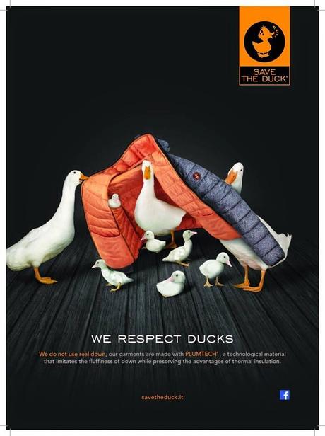 We Respect Ducks.