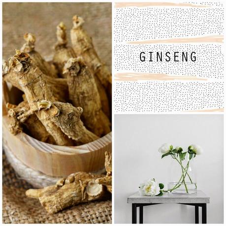 I benefici del Ginseng / Ginseng benefits