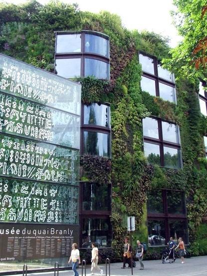 Vertical garden green Living walls