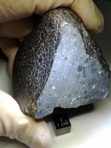 Una Bellezza Nera marziana Il meteorite marziano NWA 7034. Crediti: NASA