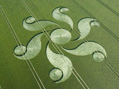 E’ il suono a creare i crop circles?