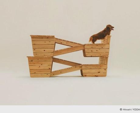 Architecture for dogs