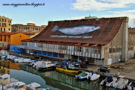 Livorno in bicicletta: un itinerario che amo
