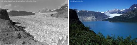 Repeat photography Muir Glacier 1941 Field-2013 Ventura_F41-64_crop 02_crop