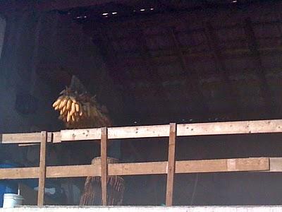 La primavera arriva e la pausa pranzo si fa... campestre La primavera arriva e la pausa pranzo si fa... campestre