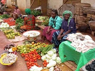 La rivoluzione verde del Malawi: un modello per l'Africa?