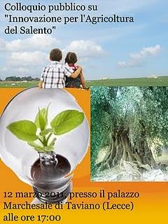 Il destino dell’olio lampante del Grande Salento genera molte discussioni “infuocate”