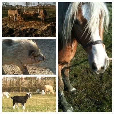 365project • pic 189/365 365project • pic 189/365