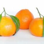 Confettura Di Clementine DamGas In Cucina