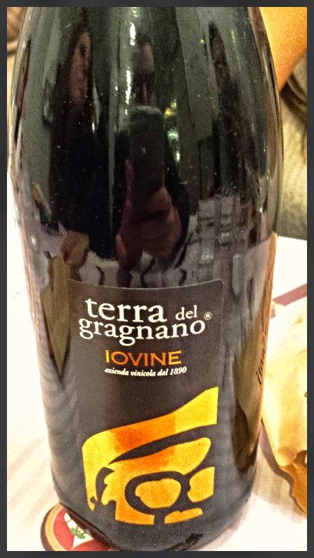 Penisola Sorrentina Gragnano Doc 2013 rosso frizzante Terra del Gragnano - Vini Iovine