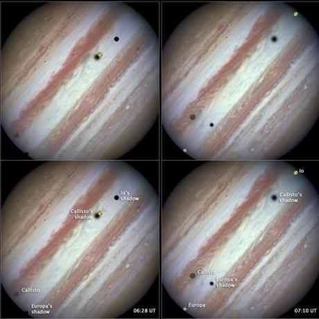 Europa, Callisto e Io, una rara tripletta (anzi cinquina!) catturata da Hubble